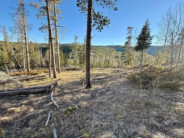 a view of a outdoor space