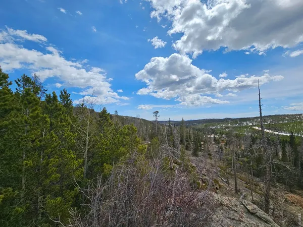 a view of a city with lush green forest