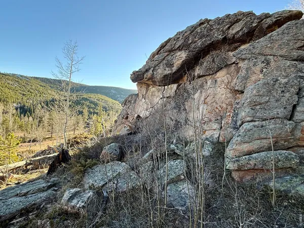 a view of a dry yard with wooden fence