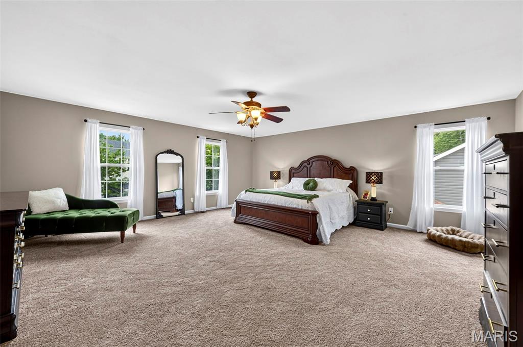 5234 Arrow Ridge Place Imperial, MO 63052 - Photo 16 of 33
