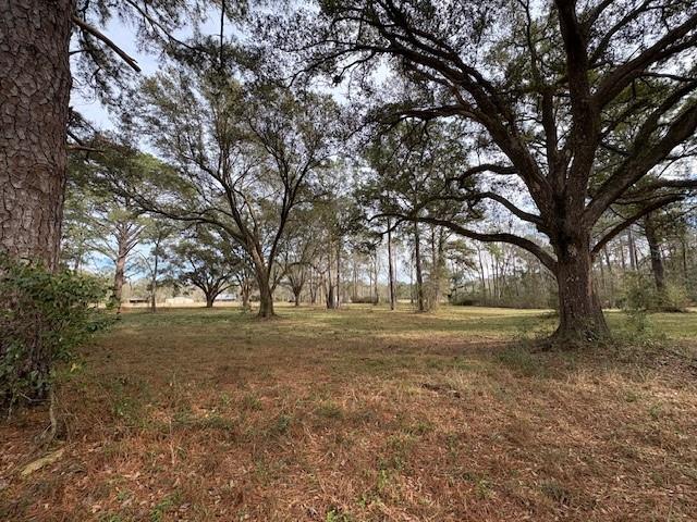 72122 Joseph Road Covington, LA 70433 - Photo 2 of 7 Gallery Image 2