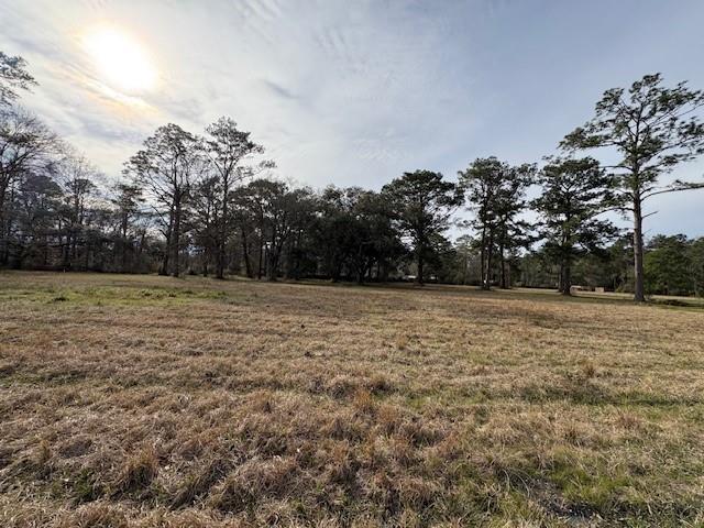72122 Joseph Road Covington, LA 70433 - Photo 3 of 7 Gallery Image 3