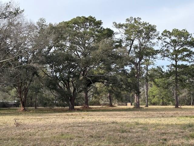 72122 Joseph Road Covington, LA 70433 - Photo 4 of 7 Gallery Image 4