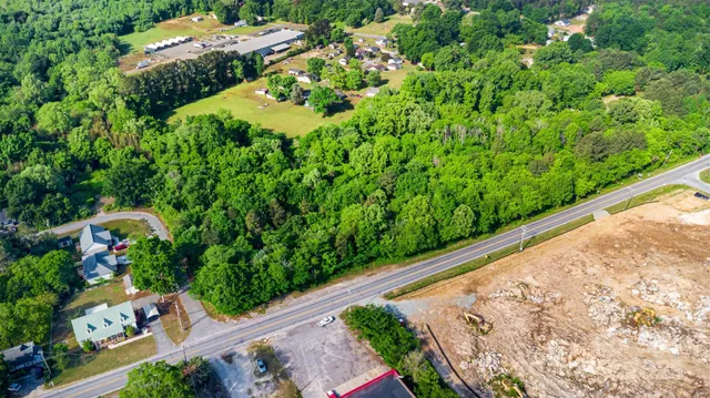 a view of a garden with plants