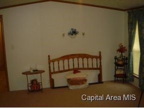 201 North Redwood Road Athens, IL 62613 - Photo 14 of 20 Gallery Image 14