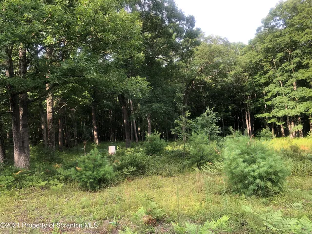 a view of outdoor space and green space