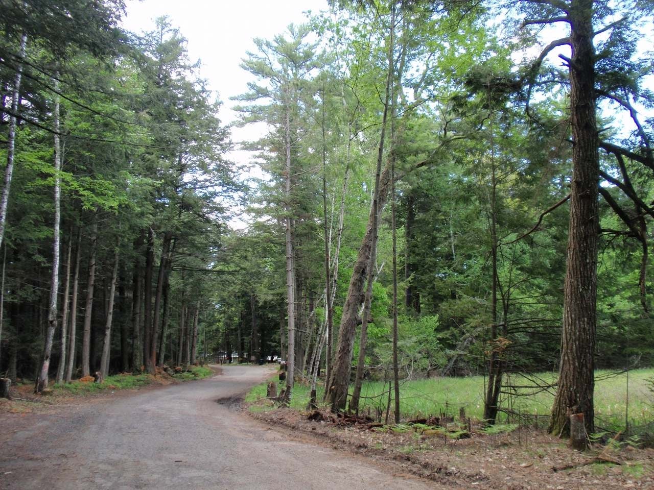 7668 Wheeler Island Road, Unit LOT #2 Three Lakes, WI 54562 - Photo 19 of 19 Gallery Image 19