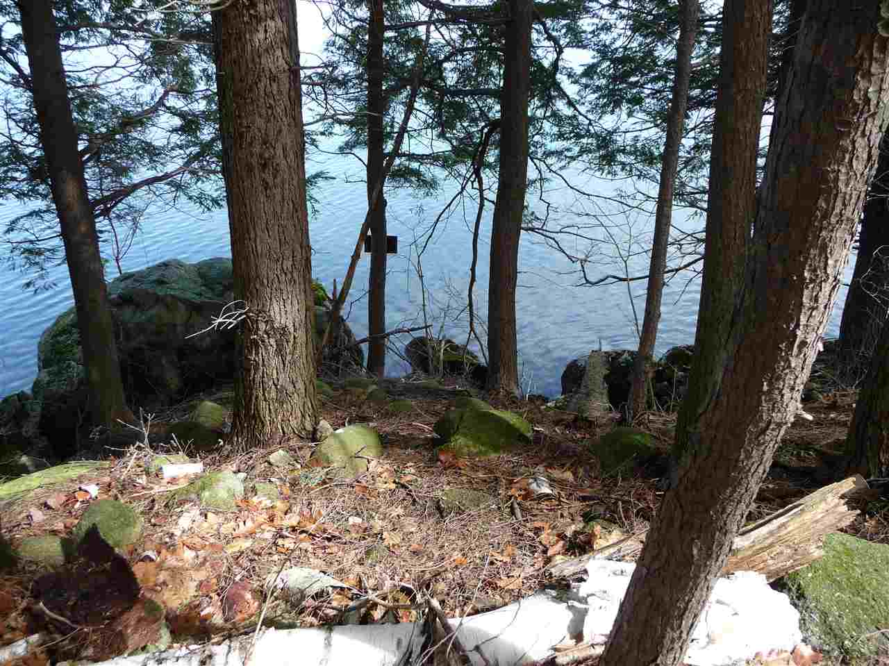 115 Rattlesnake Island Alton Bay, NH 03810 - Photo 4 of 11 Gallery Image 4