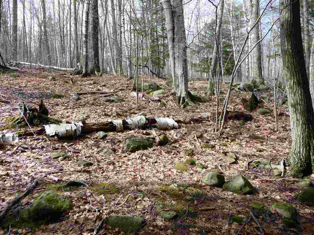 115 Rattlesnake Island Alton Bay, NH 03810 - Photo 8 of 11 Gallery Image 8