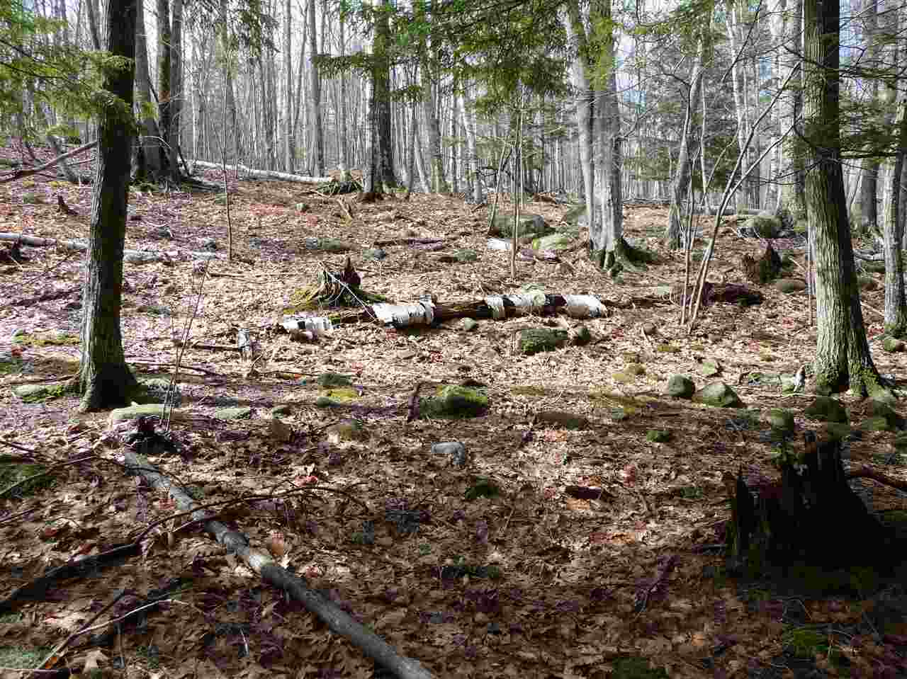 115 Rattlesnake Island Alton Bay, NH 03810 - Photo 10 of 11 Gallery Image 10