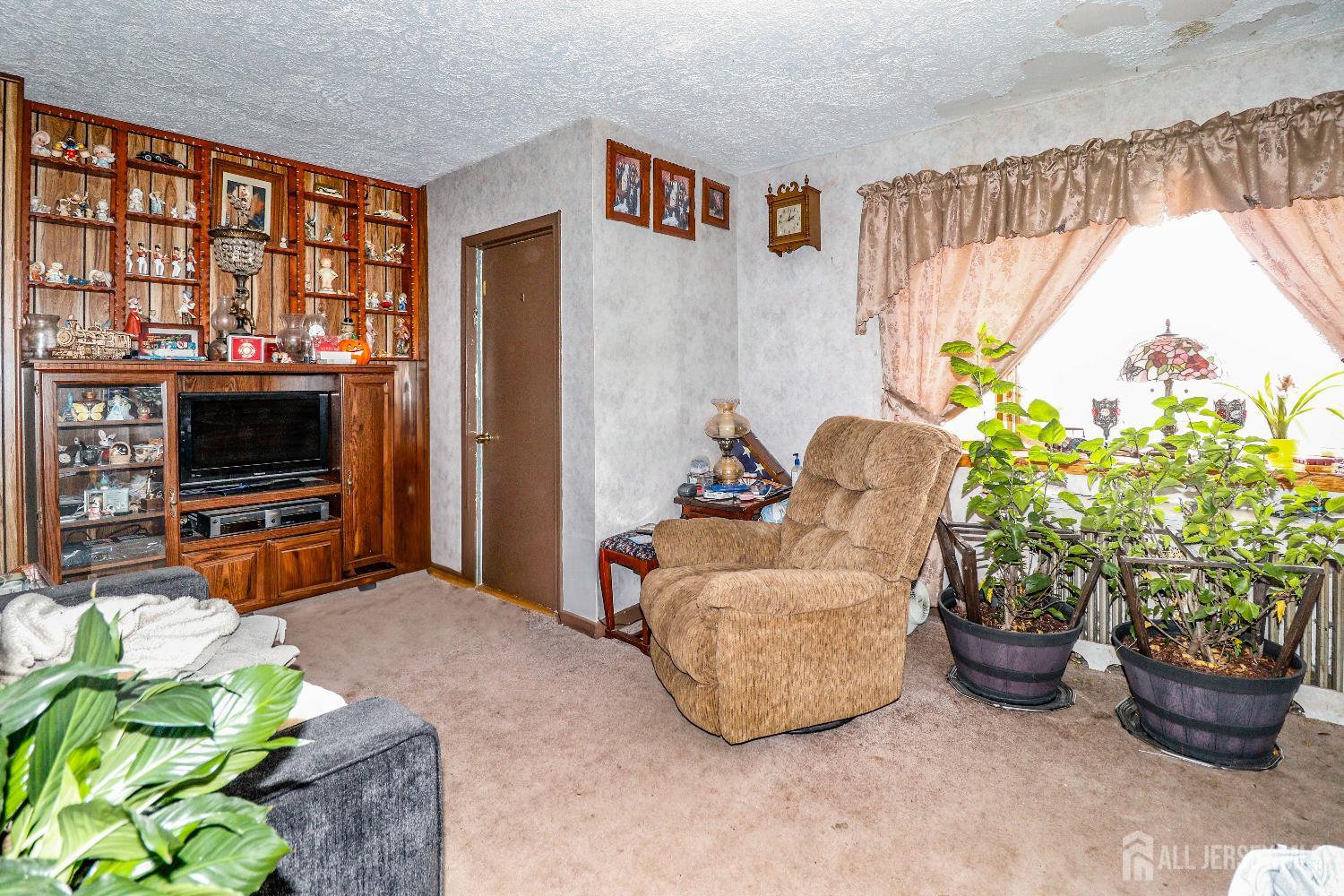 484 Old Post Road Edison, NJ 08817 - Photo 7 of 19 a living room with furniture and a potted plant