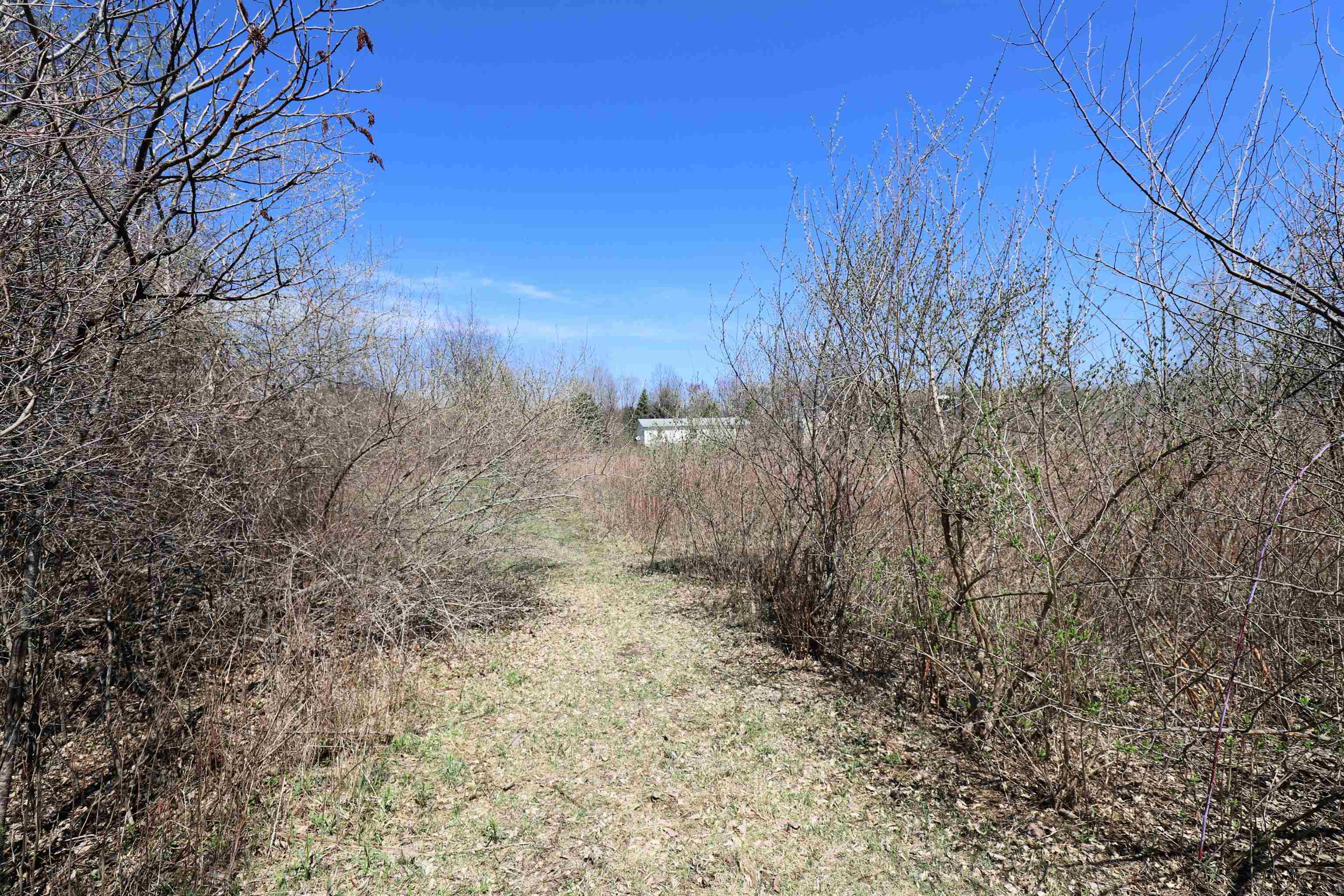 9335 Birch Run Road Millington, MI 48746 - Photo 22 of 30 50172328-dcb6a970-32f2-46fc-b03a-d3a63dc30580.JPG