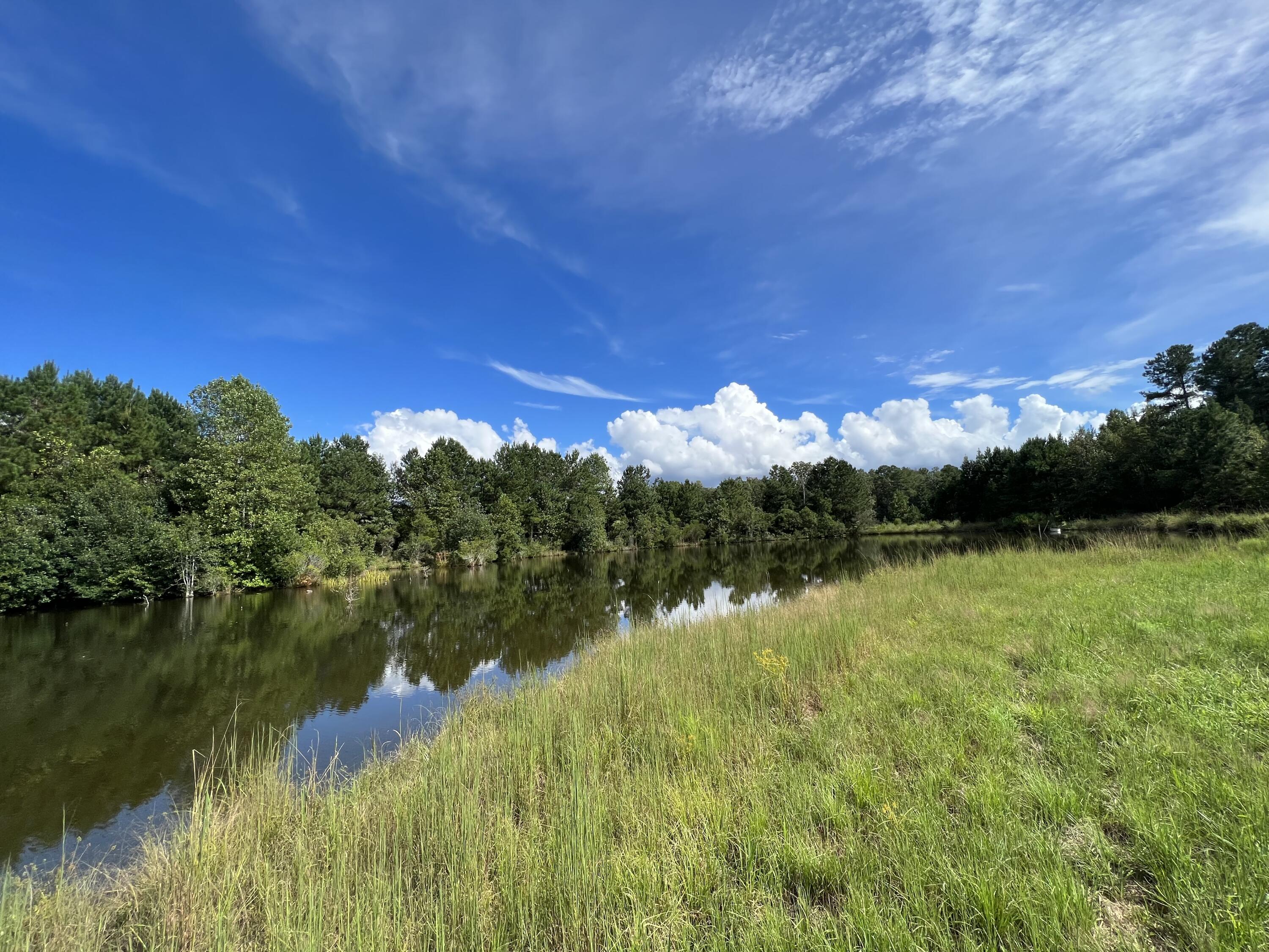 0 Flowing Well Road Wagener, SC 29164 - Photo 1 of 19
