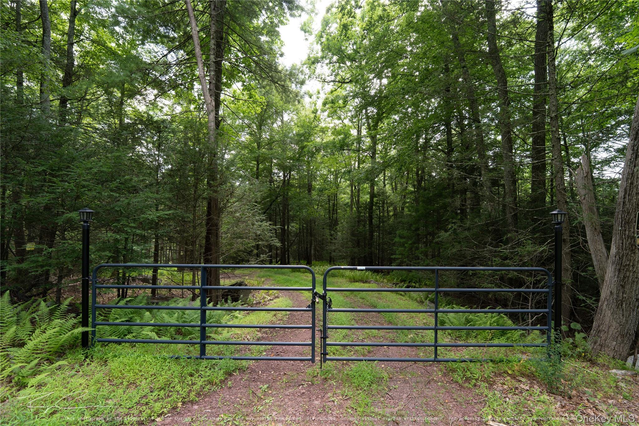 Old Plank Road Forestburgh, NY 12777 - Photo 13 of 38 Gallery Image 13