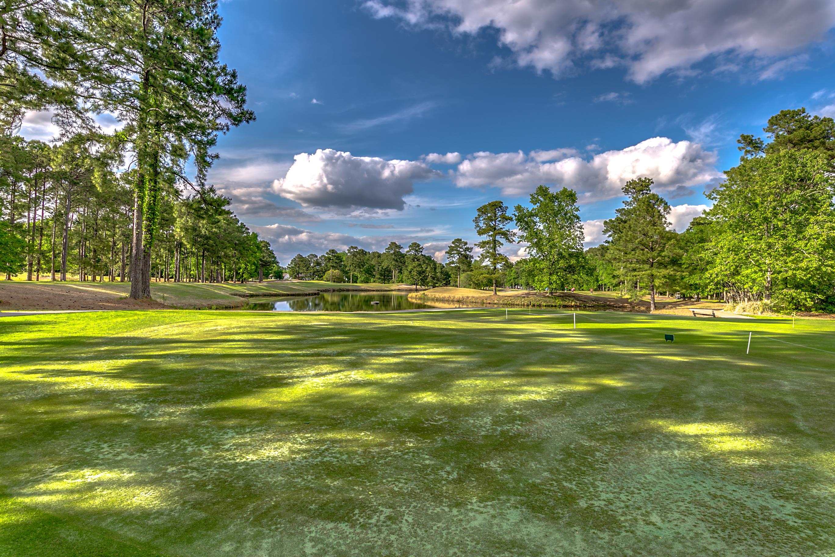 9563 Indigo Club Drive Murrells Inlet, SC 29576 - Photo 31 of 35