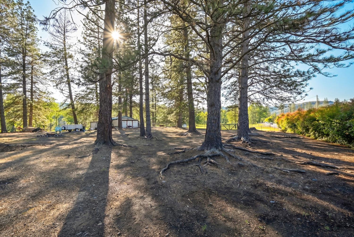 4360 Pleasant Valley Road Placerville, CA 95667 - Photo 17 of 71