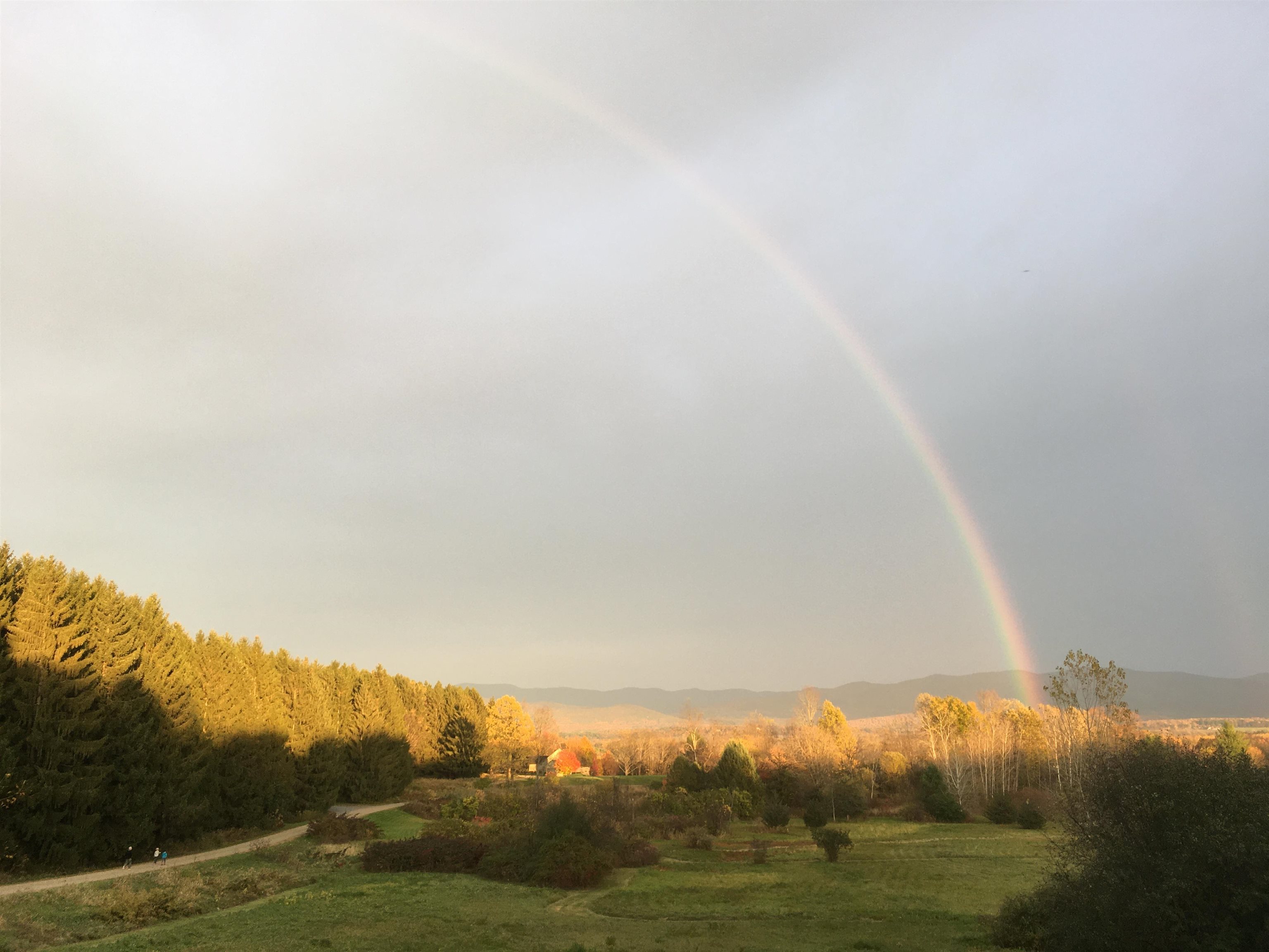1195 Highway 30 Cornwall, VT 05753 - Photo 40 of 40