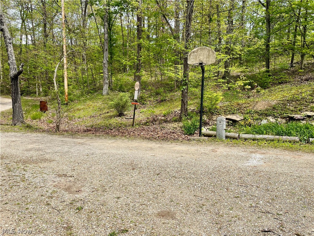 58970 Vocational Road Byesville, OH 43723 - Photo 6 of 38 Driveway