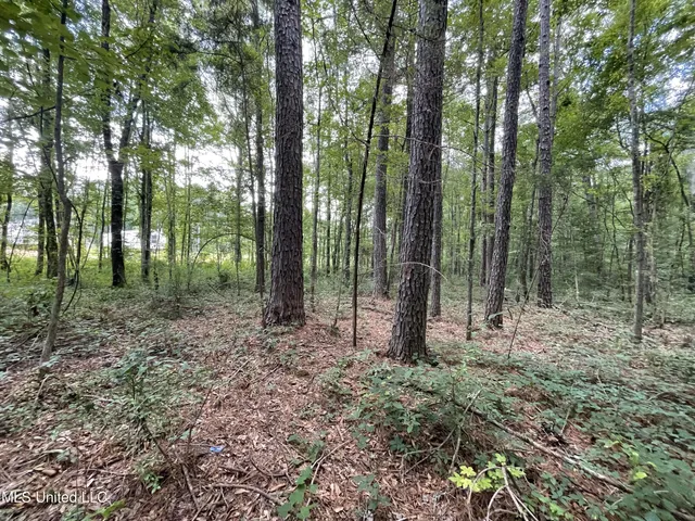 $45,000 | Eastside Drive, Newton, MS 39345