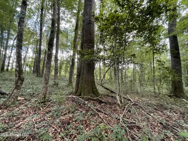 $45,000 | Eastside Drive, Newton, MS 39345