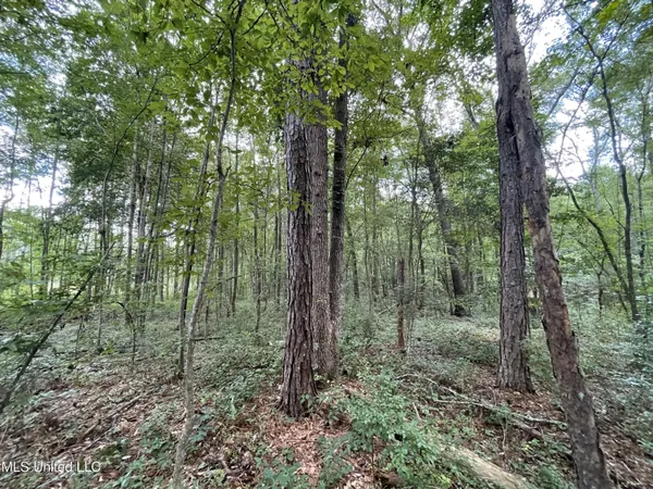 $45,000 | Eastside Drive, Newton, MS 39345
