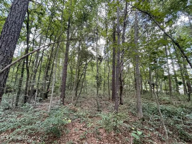 $45,000 | Eastside Drive, Newton, MS 39345