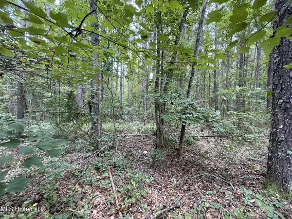 $45,000 | Eastside Drive, Newton, MS 39345