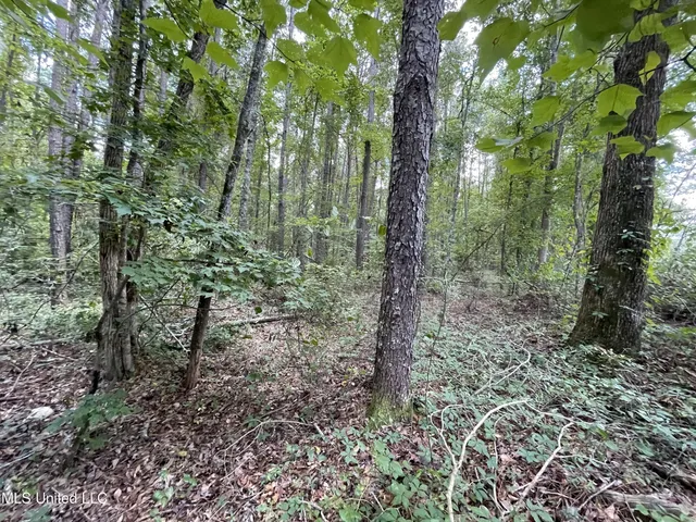 $45,000 | Eastside Drive, Newton, MS 39345