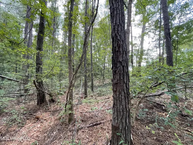 $45,000 | Eastside Drive, Newton, MS 39345