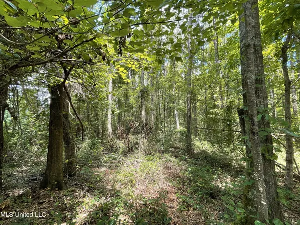 $45,000 | Eastside Drive, Newton, MS 39345