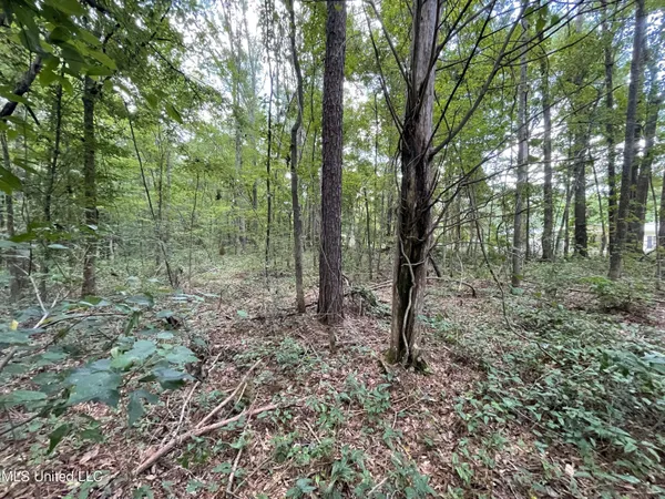 $45,000 | Eastside Drive, Newton, MS 39345