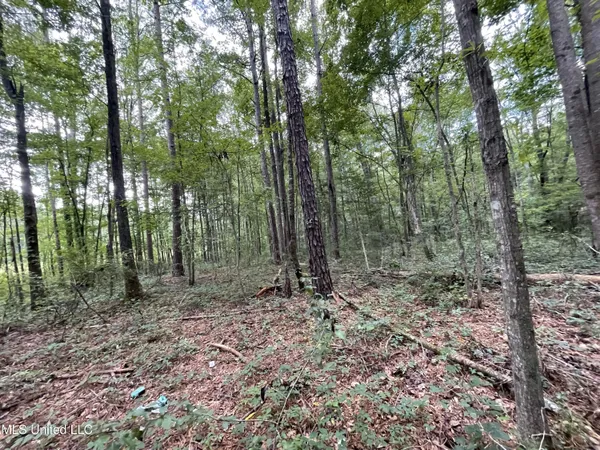 $45,000 | Eastside Drive, Newton, MS 39345