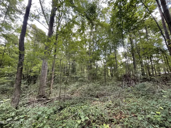 $45,000 | Eastside Drive, Newton, MS 39345