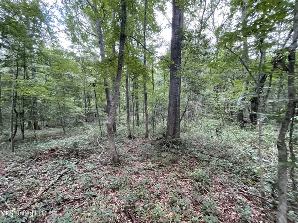 $45,000 | Eastside Drive, Newton, MS 39345