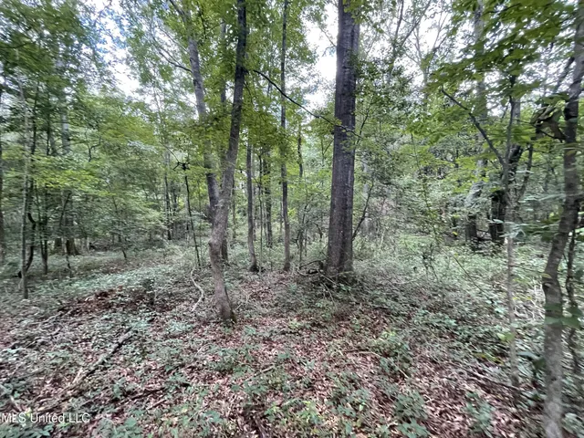 $45,000 | Eastside Drive, Newton, MS 39345