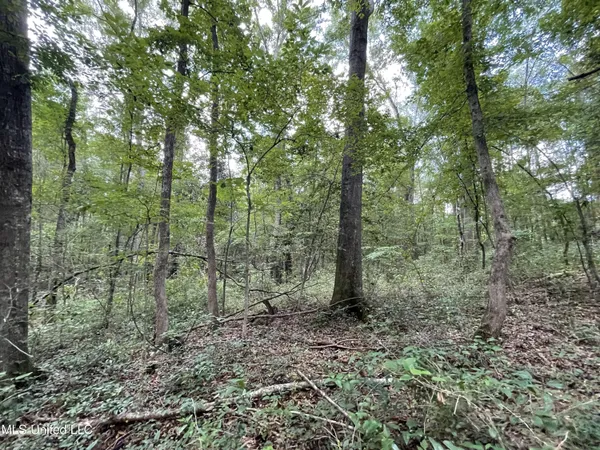 $45,000 | Eastside Drive, Newton, MS 39345