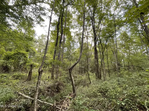 $45,000 | Eastside Drive, Newton, MS 39345