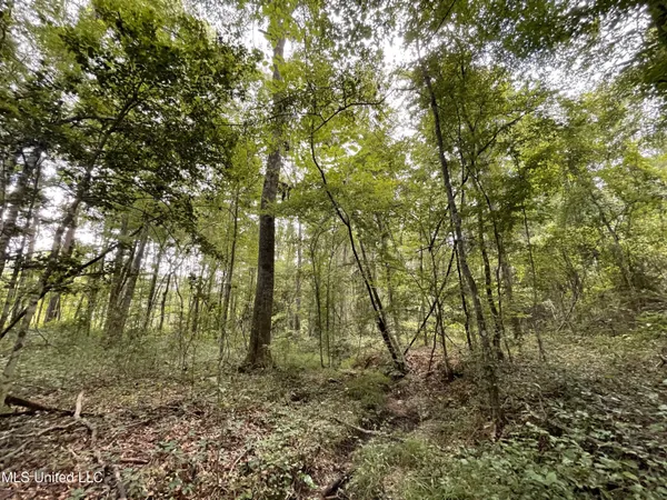 $45,000 | Eastside Drive, Newton, MS 39345