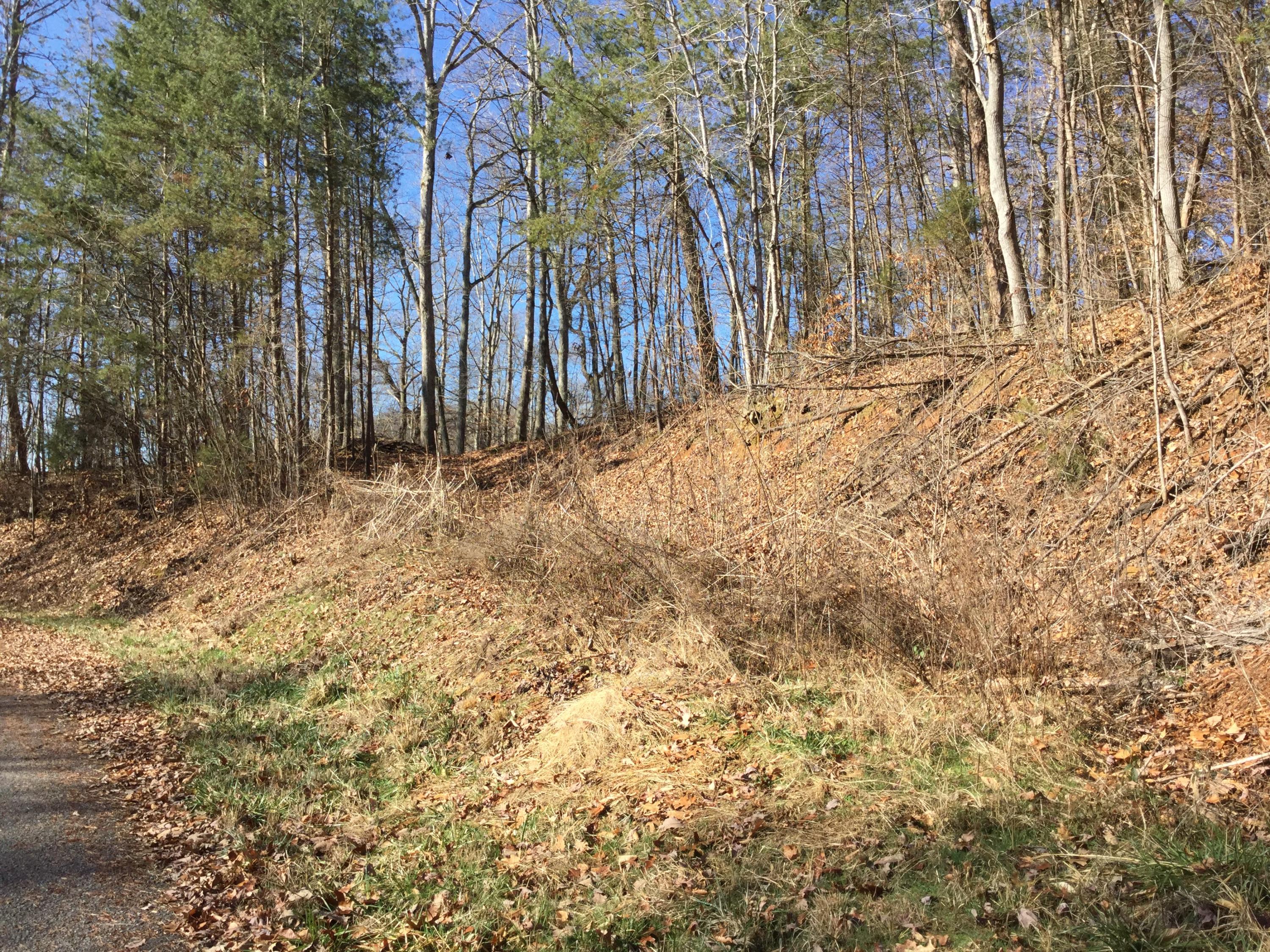 255-256 Big Ridge Point Sharps Chapel, TN 37866 - Photo 3 of 13 6A7FAD7D-C37D-48AA-A504-B804AC0D8583
