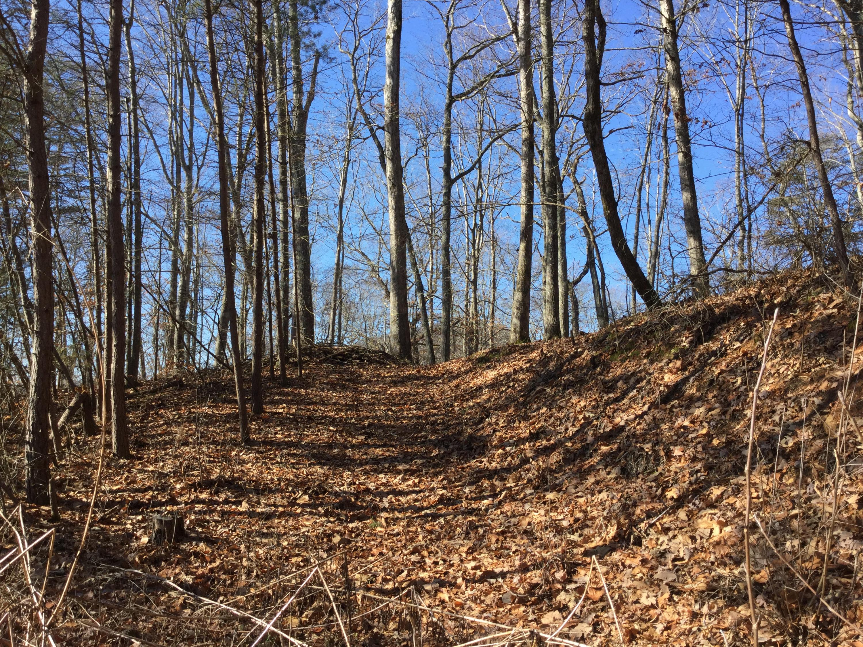 255-256 Big Ridge Point Sharps Chapel, TN 37866 - Photo 4 of 13 5953EF77-DD52-42C6-8DDE-1C2590843ADD