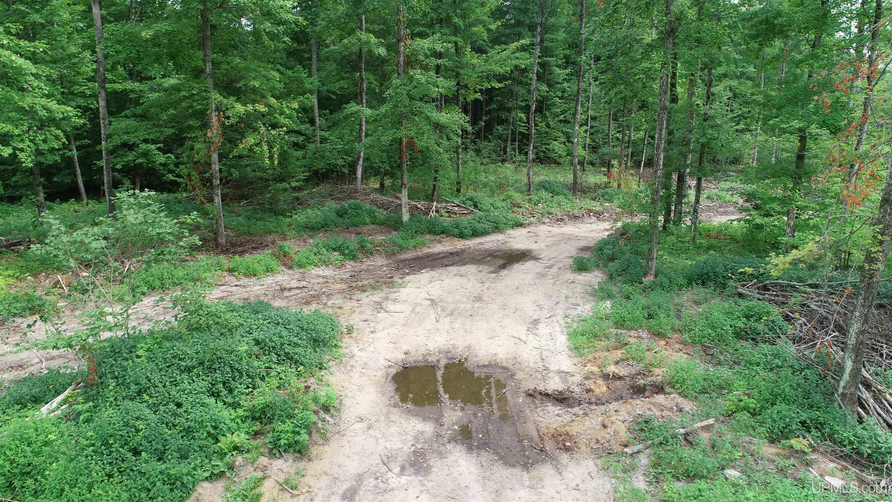 23 Camp 23 Road, Unit NORTH PARCEL Germfask, MI 49836 - Photo 5 of 10