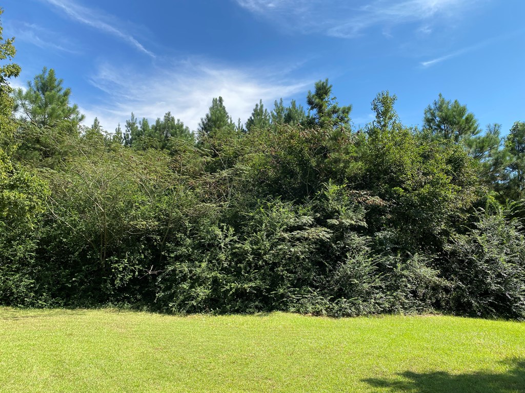 12.752-ac 12.752-ac Kinsey Rd/ Keel Road Dothan, AL 36301 - Photo 12 of 22