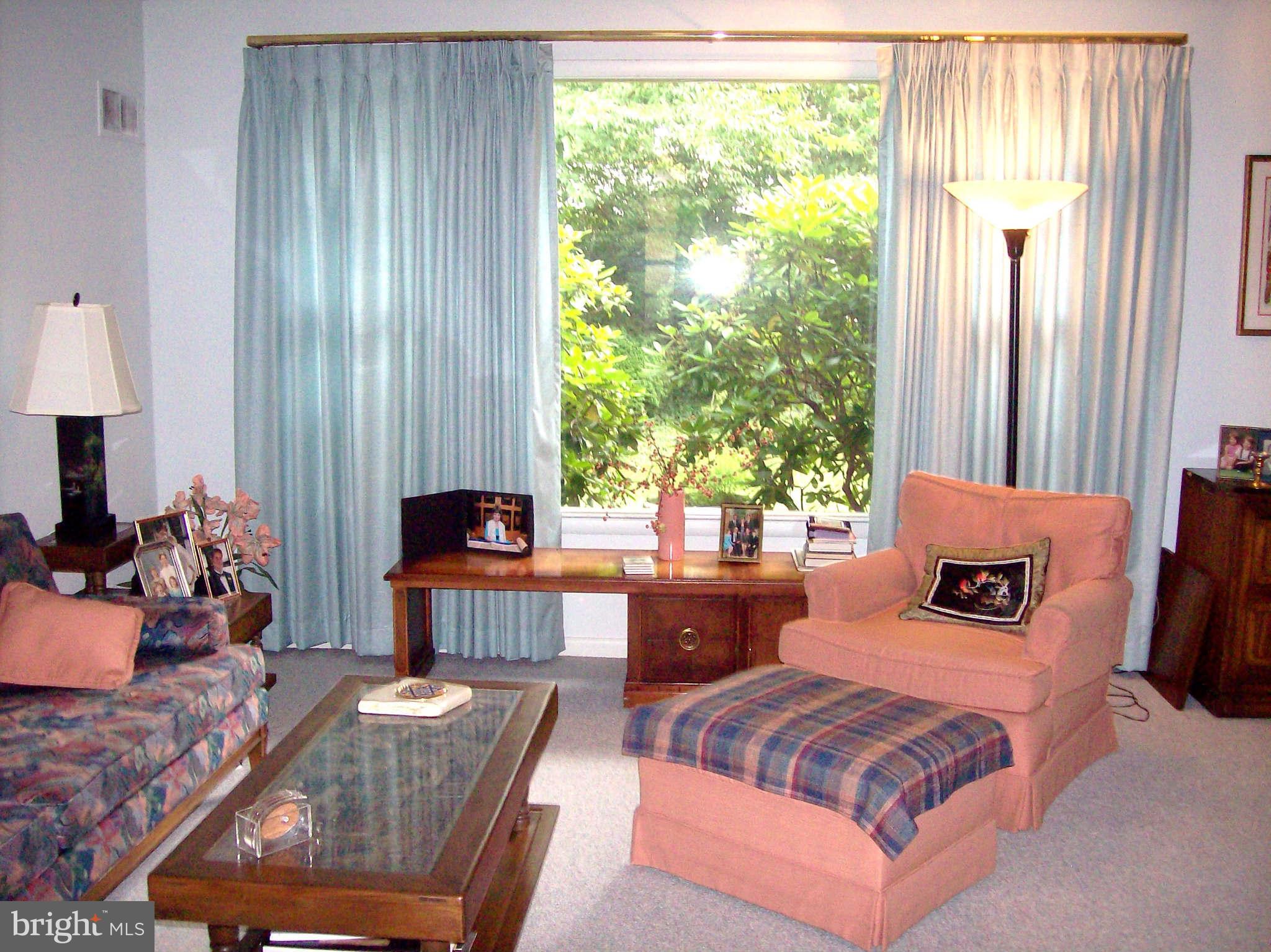 1010 Robroy Drive Silver Spring, MD 20903 - Photo 12 of 30 Living room has glorious view of greenery