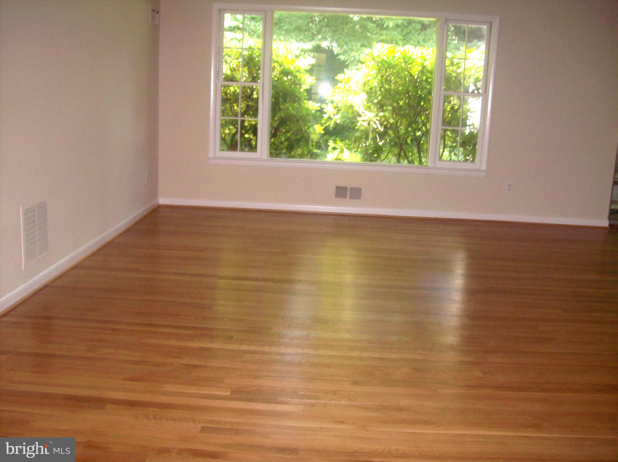 1010 Robroy Drive Silver Spring, MD 20903 - Photo 19 of 30 Living Room has gleaming hardwood floors