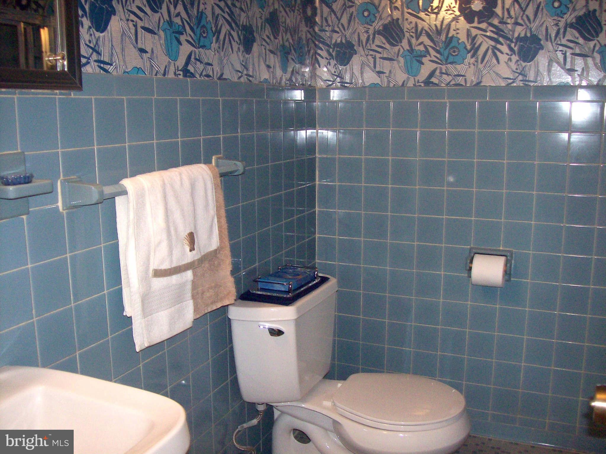 1010 Robroy Drive Silver Spring, MD 20903 - Photo 21 of 30 Upper level - full bathroom