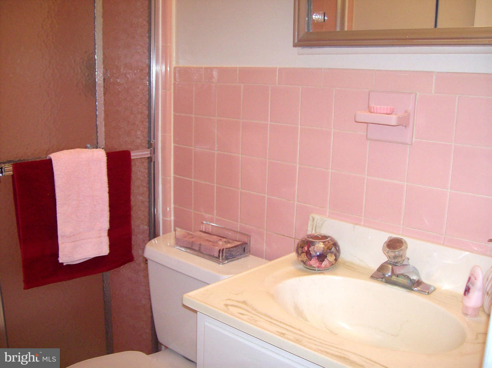 1010 Robroy Drive Silver Spring, MD 20903 - Photo 25 of 30 Bathroom en-suite
