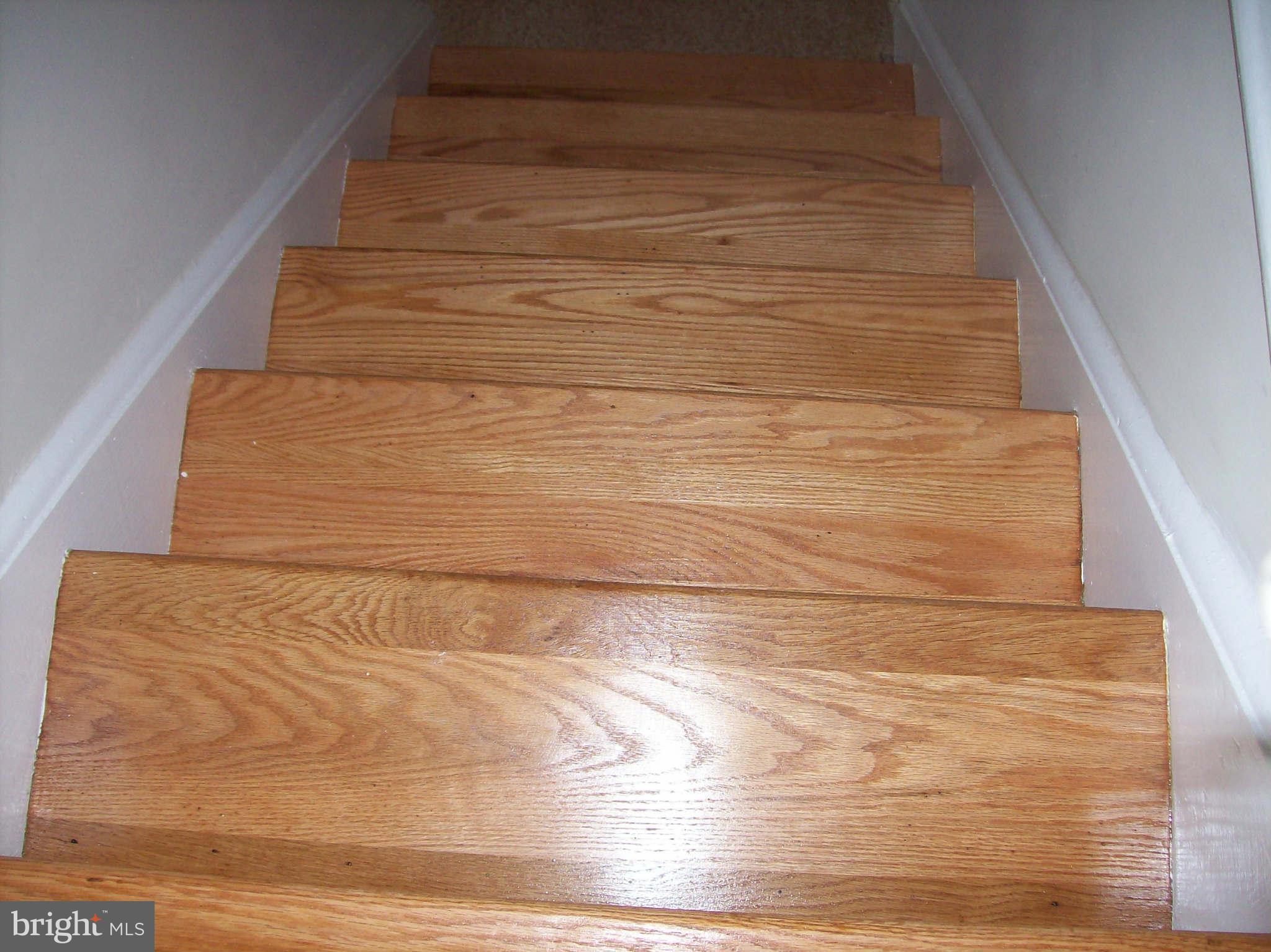 1010 Robroy Drive Silver Spring, MD 20903 - Photo 26 of 30 Hardwood stairs lead to upper & lower level