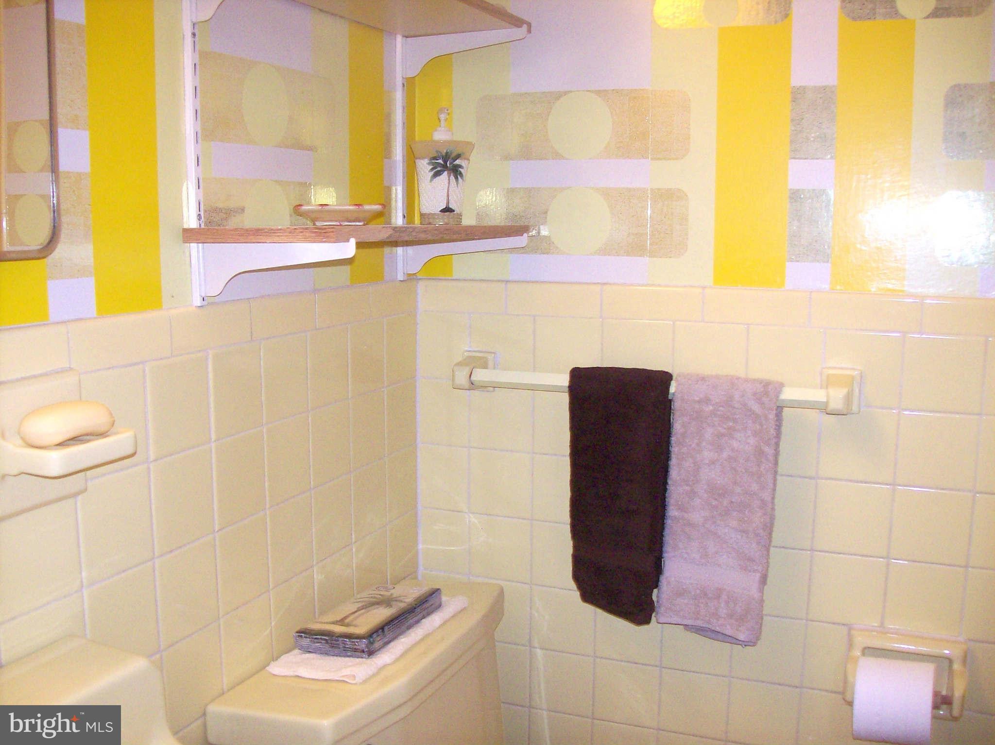 1010 Robroy Drive Silver Spring, MD 20903 - Photo 28 of 30 Another full bathroom on lower level