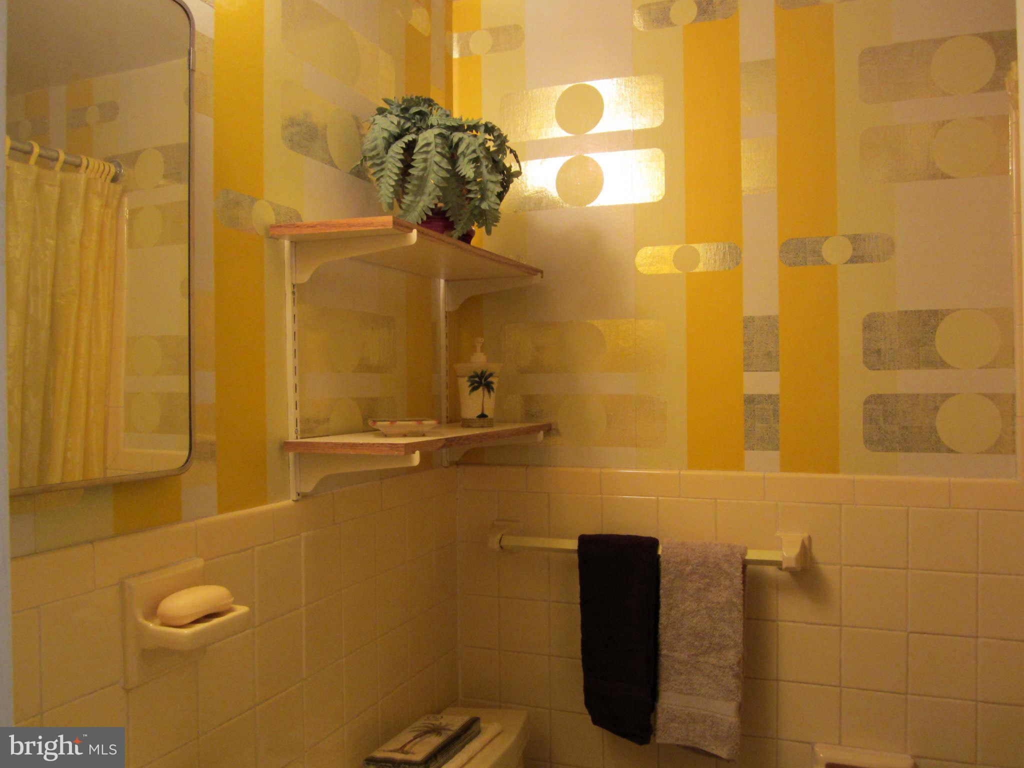 1010 Robroy Drive Silver Spring, MD 20903 - Photo 29 of 30 Full bathroom