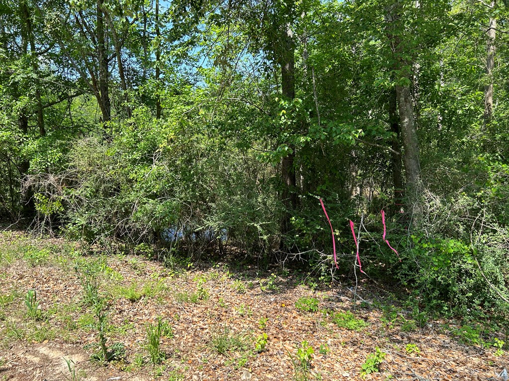 4.04 Cty Road Slocomb, AL 36375 - Photo 3 of 36